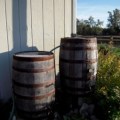 Rain Barrels