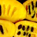 pawpaw-fruit