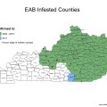 EAB_map_031017