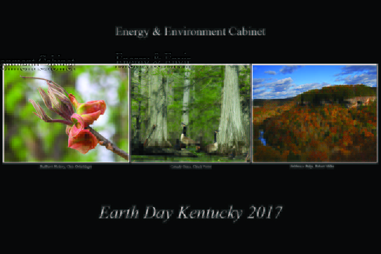 2017 Earth Day poster