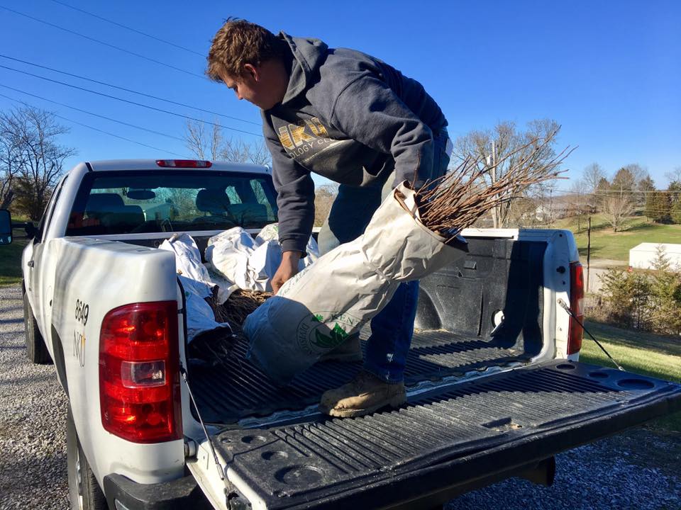 Over a couple thousand of our seedlings were planted and given away at the Northern Kentucky Urban &amp; Community Forestry Council's Reforest Northern Kentucky at Big Bone Lick State Park.