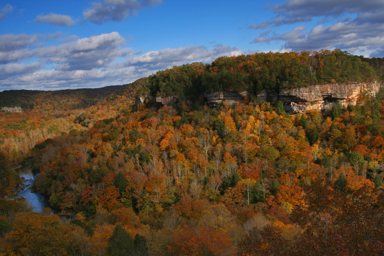 Rockcastle Wild River