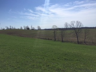 Established field in foreground, in background field that Purnell is seeding on his own