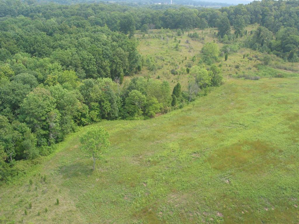 Crooked Creek State Nature Preserve - KSNP Staff Photo (3).jpg