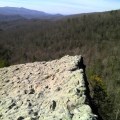 A bluff overlooks Blanton Forest. Photo by Zeb Weese.