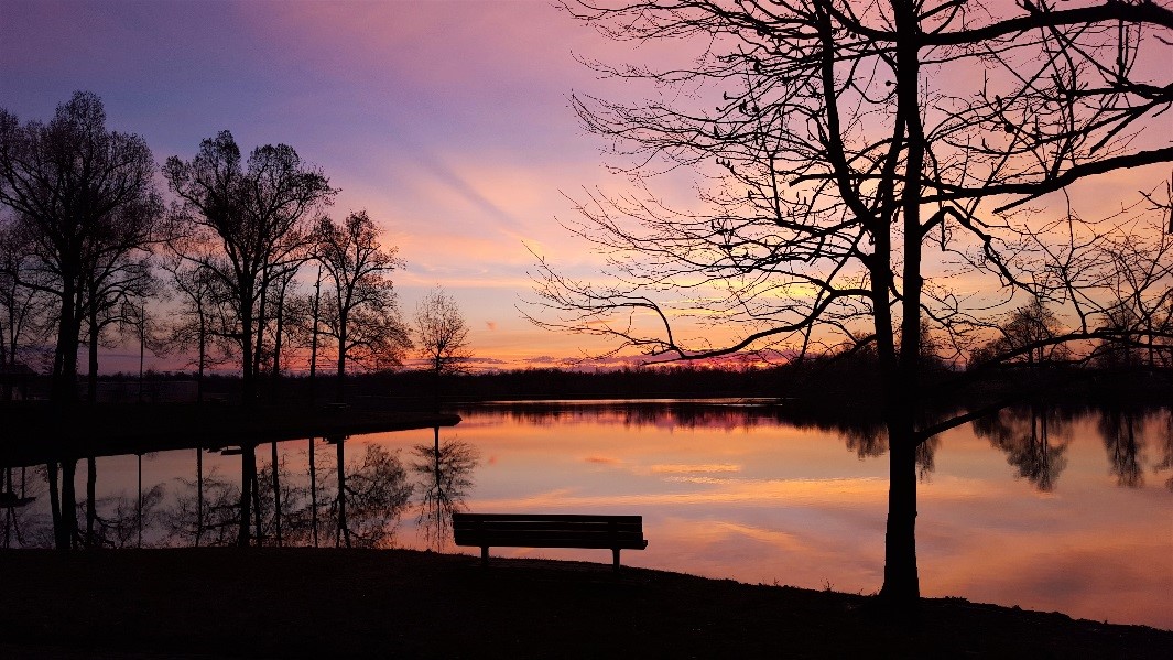 Chris Oelschlager's nature in the city with her photo ‘Sunrise at Madisonville City Park.