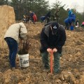 March 29 tree planting