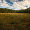 Hazeldell Meadow Preserve in Pulaski County.
