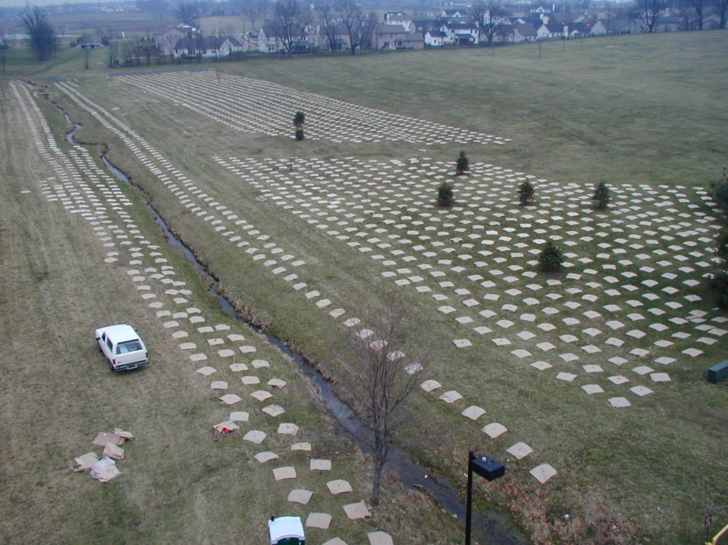 An aerial view of the 2000 planting at Masterson Station.