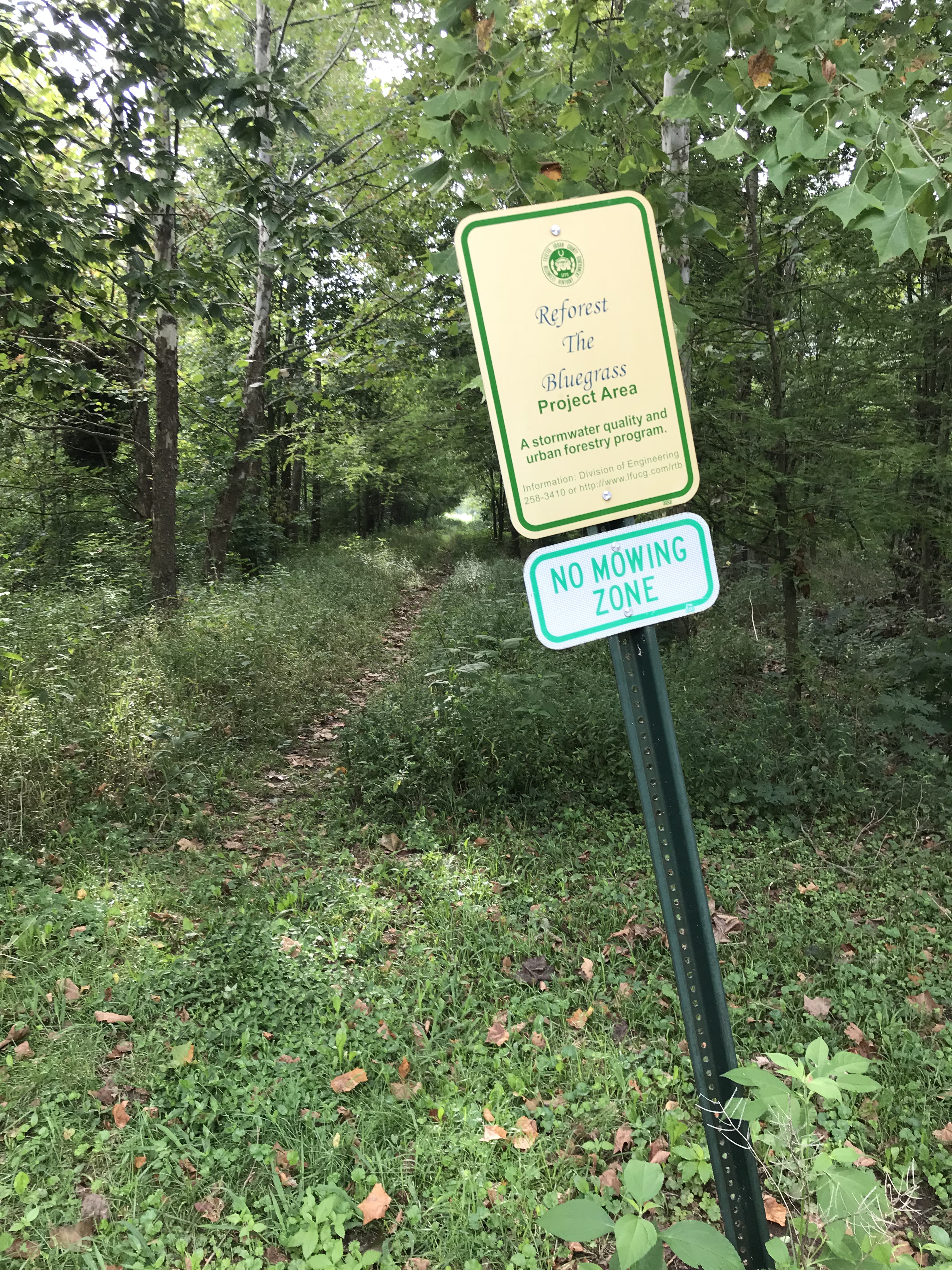The area around the creek at Masterson Station in 2018.