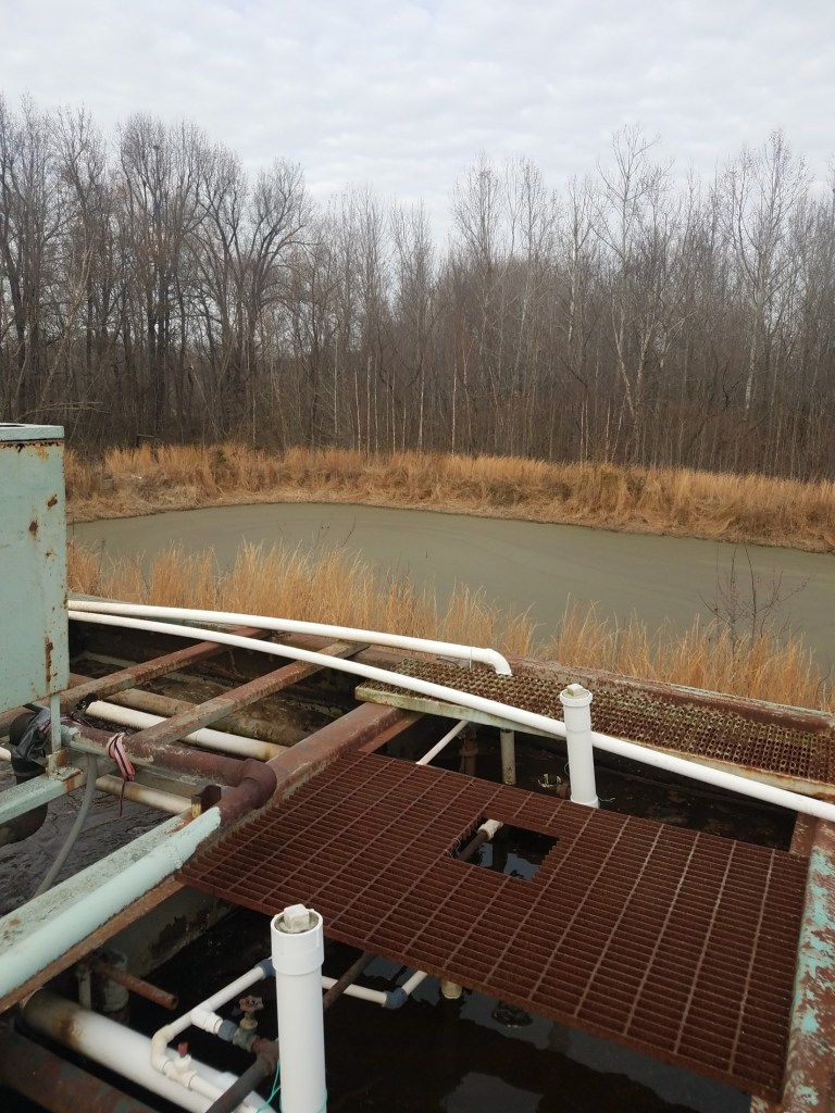 A lagoon is surrounded by trees with pipes and grating on the other side. 