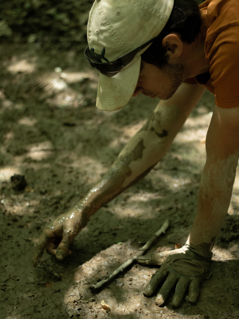 A man points demonstrates how the pinchers of juvenile crayfish are significantly weaker than those of adults