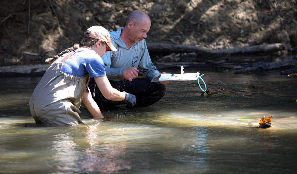 Man and lady in stream surveying mussel population.