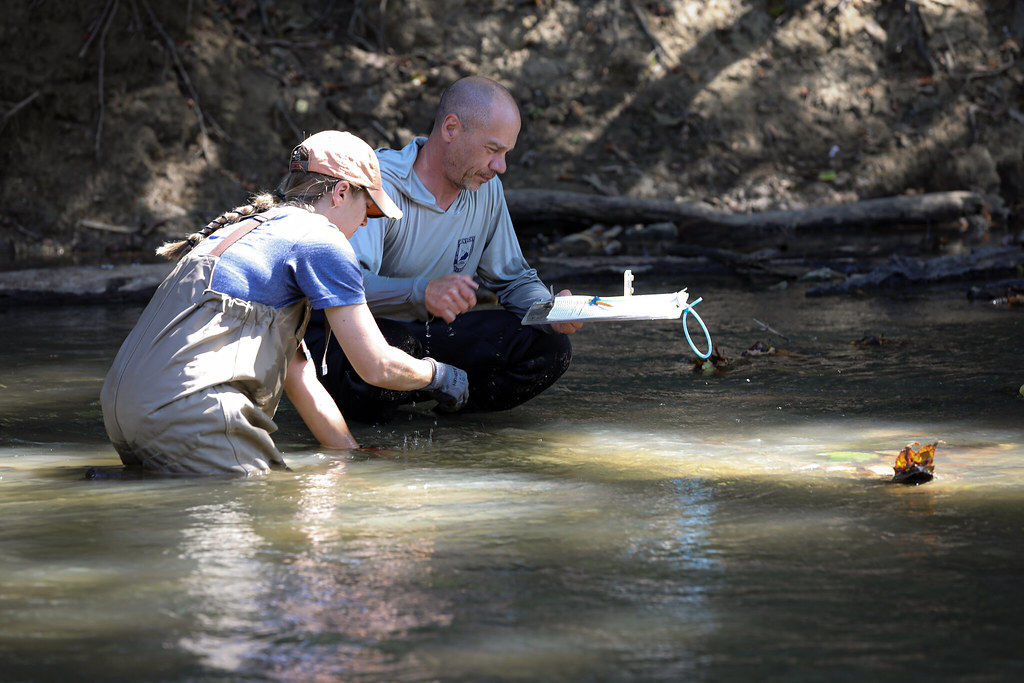 Lady and gentleman in stream ascertaining mussel population for Kentucky survey.