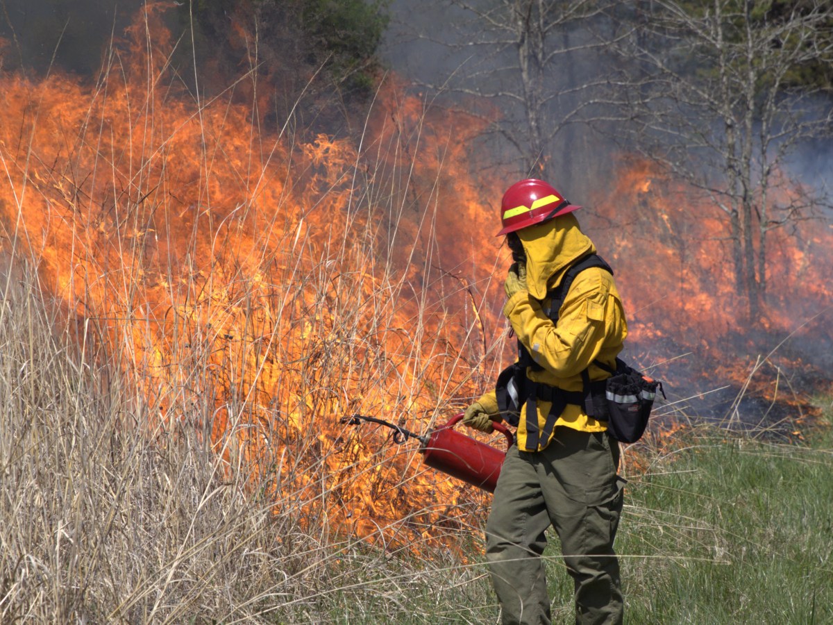 A Spark for Native Growth: Inside a Prescribed Burn with The Office of Kentucky Nature Preserves