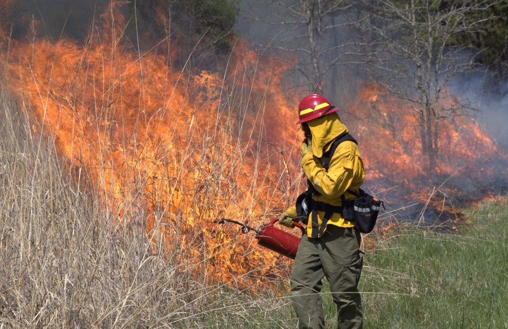 OKNP's Entomologist Robert Chambliss ignites a line up into a prairie section of the Lone Oak Barrens State Nature Preserve. Photo By Brad Bowman 