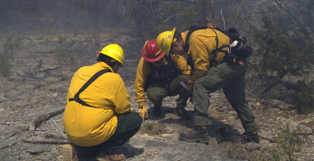 Three men look at plant life in glade. 
