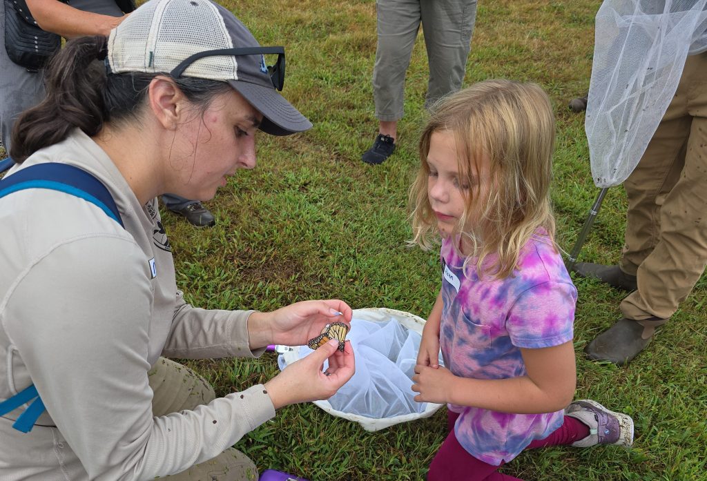 
Heredia ,and possibly a future scientist, inspect a butterfly during the event. Photo courtesy of Robert Myers, state naturalist.