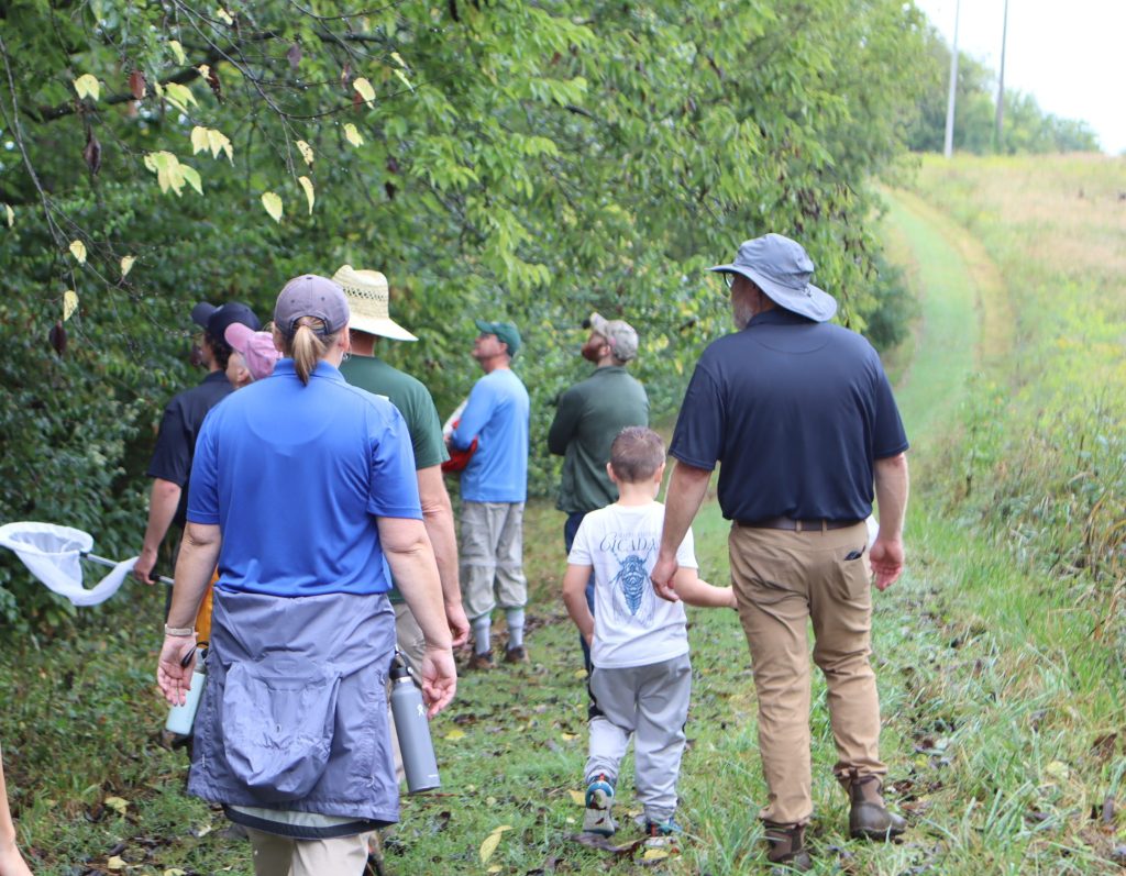 A crowd walks on a nature trail looking for monarch butterflies. 